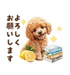 トイプードルの毎日あいさつセット（個別スタンプ：23）