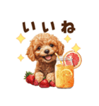 トイプードルの毎日あいさつセット（個別スタンプ：29）