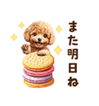 トイプードルの毎日あいさつセット（個別スタンプ：35）