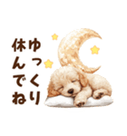 トイプードルの毎日あいさつセット（個別スタンプ：37）