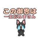 【デカ文字】ボステリアのボス君7（個別スタンプ：17）