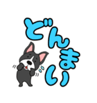 【デカ文字】ボステリアのボス君7（個別スタンプ：35）