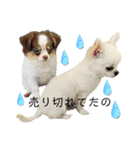 酒狂のスタンプ（個別スタンプ：10）