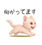 推し猫【桃】………………………..（個別スタンプ：1）