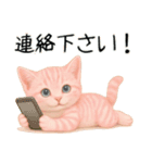 推し猫【桃】………………………..（個別スタンプ：2）