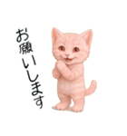 推し猫【桃】………………………..（個別スタンプ：5）