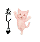 推し猫【桃】………………………..（個別スタンプ：6）