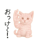 推し猫【桃】………………………..（個別スタンプ：8）