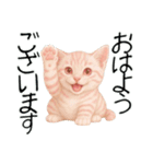 推し猫【桃】………………………..（個別スタンプ：9）