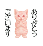 推し猫【桃】………………………..（個別スタンプ：10）