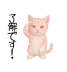 推し猫【桃】………………………..（個別スタンプ：11）