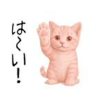 推し猫【桃】………………………..（個別スタンプ：12）