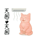 推し猫【桃】………………………..（個別スタンプ：16）
