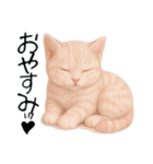 推し猫【桃】………………………..（個別スタンプ：19）