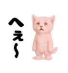 推し猫【桃】………………………..（個別スタンプ：30）