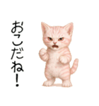 推し猫【桃】………………………..（個別スタンプ：31）