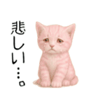 推し猫【桃】………………………..（個別スタンプ：32）