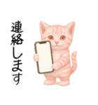 推し猫【桃】………………………..（個別スタンプ：33）
