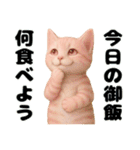 推し猫【桃】………………………..（個別スタンプ：34）