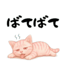 推し猫【桃】………………………..（個別スタンプ：37）