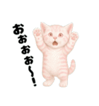 推し猫【桃】………………………..（個別スタンプ：40）