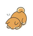かわいい動物たちの全力土下座集（個別スタンプ：1）