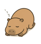かわいい動物たちの全力土下座集（個別スタンプ：5）
