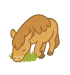 かわいい動物たちの全力土下座集（個別スタンプ：15）
