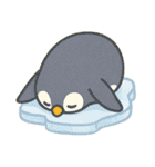 かわいい動物たちの全力土下座集（個別スタンプ：23）