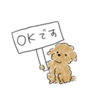 かわいい茶色いプードル（個別スタンプ：1）