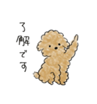 かわいい茶色いプードル（個別スタンプ：2）