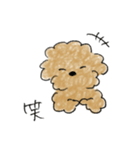 かわいい茶色いプードル（個別スタンプ：8）