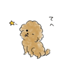 かわいい茶色いプードル（個別スタンプ：14）