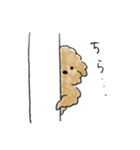かわいい茶色いプードル（個別スタンプ：23）