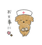 かわいい茶色いプードル（個別スタンプ：24）