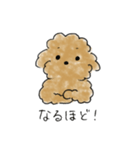 かわいい茶色いプードル（個別スタンプ：27）