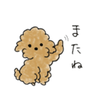 かわいい茶色いプードル（個別スタンプ：37）