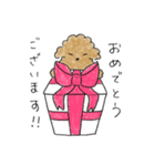 かわいい茶色いプードル（個別スタンプ：38）