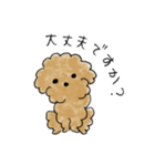 かわいい茶色いプードル（個別スタンプ：40）
