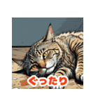まいにちにゃんこスタンプ（個別スタンプ：10）