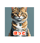まいにちにゃんこスタンプ（個別スタンプ：12）
