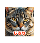 まいにちにゃんこスタンプ（個別スタンプ：25）