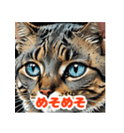 まいにちにゃんこスタンプ（個別スタンプ：39）