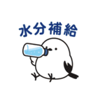 脱力シマエナガの残暑スタンプ（個別スタンプ：3）