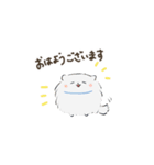 豆ポメ日常スタンプ（個別スタンプ：1）