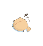 豆ポメ日常スタンプ（個別スタンプ：23）