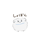 豆ポメ日常スタンプ（個別スタンプ：24）