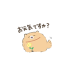 豆ポメ日常スタンプ（個別スタンプ：35）