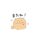 豆ポメ日常スタンプ（個別スタンプ：38）