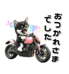 敬語♡バイク好き 黒柴（個別スタンプ：1）